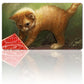 Adorable Kitten - Board Game MTG Playmat Games Mousepad Play Mat of TCG Stitched Edge